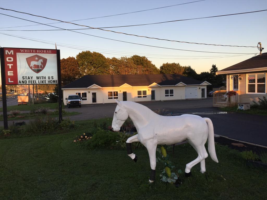 Cornwall The White Horse Motel المظهر الخارجي الصورة